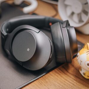 Earphones & Headphones