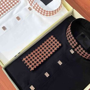 Premium panjabi Collection