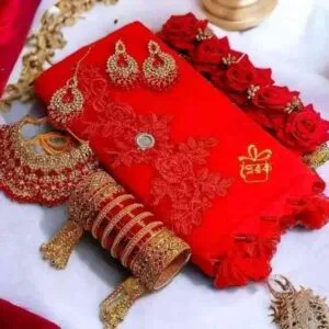 🌱ভাইরাল শাড়ি কম্বো।